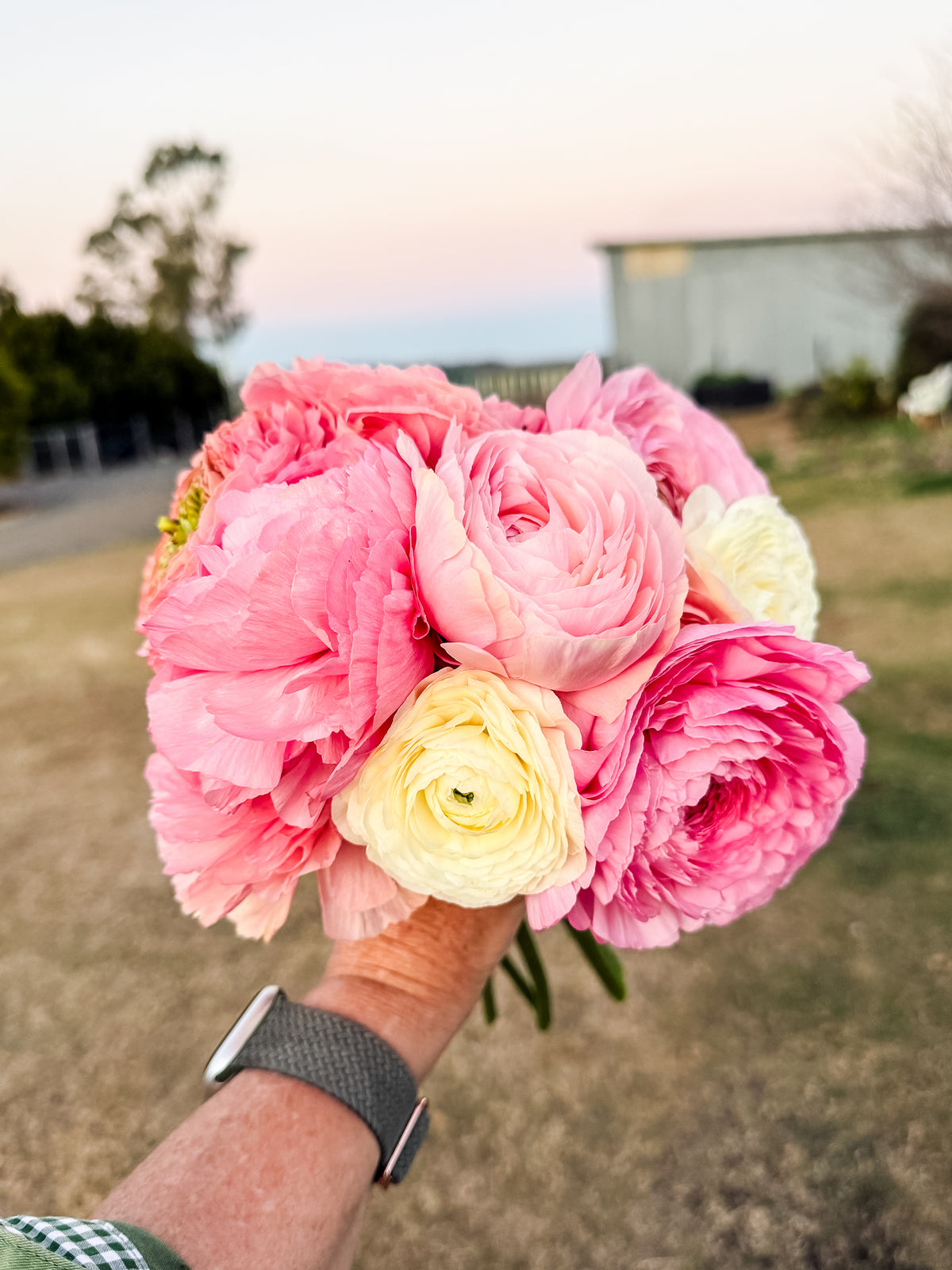 Ranunculus Bouquet