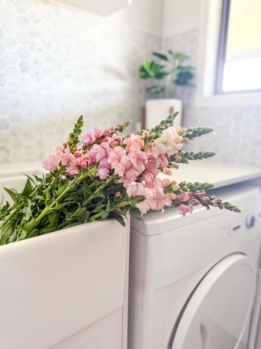 A Busy Few Weeks on the Farm