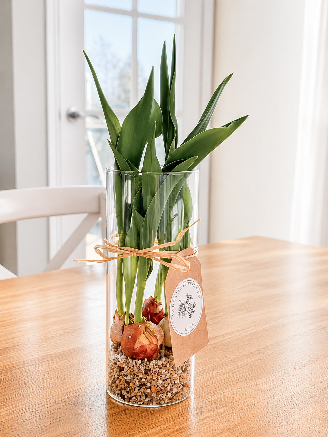 Blooming Tulip Vase