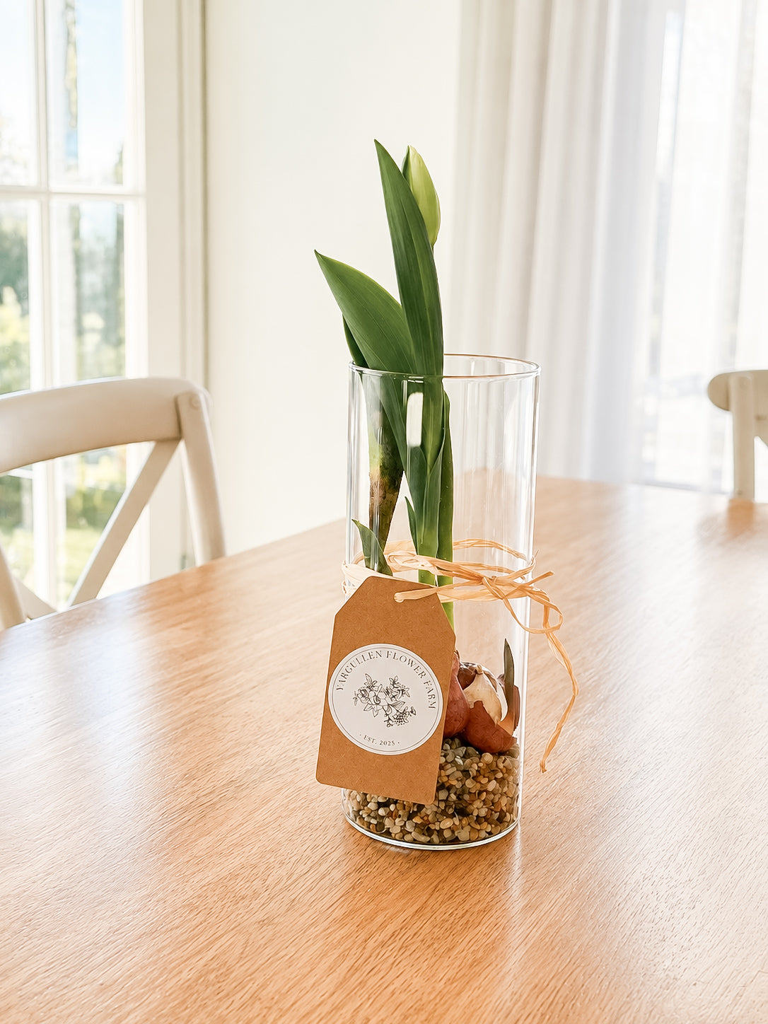 Blooming Tulip Vase