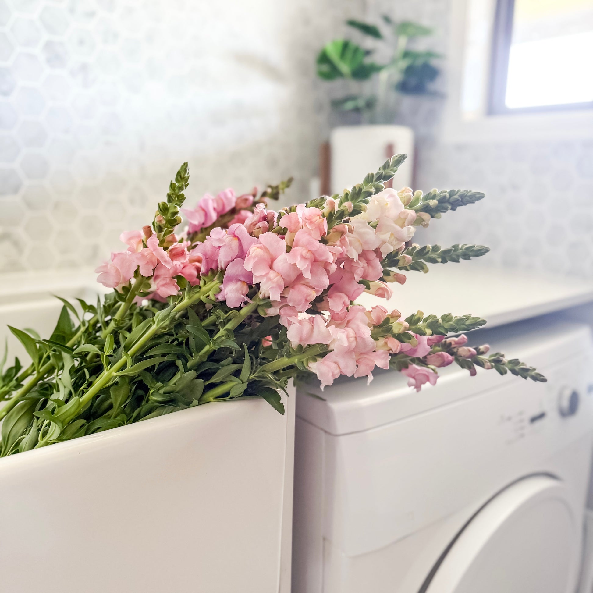 Pink flowers in a white planter on top of a white washing machine.